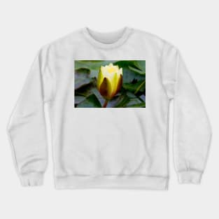 English Wild Flowers - Water Lily Crewneck Sweatshirt